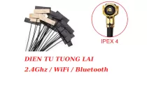 Ăng Ten WiFi 2.4GHz Ipex4